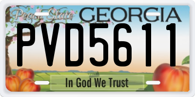 GA license plate PVD5611