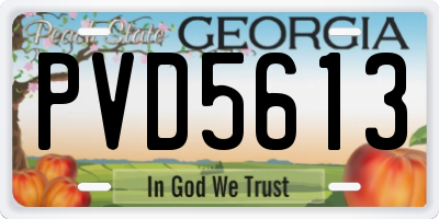 GA license plate PVD5613