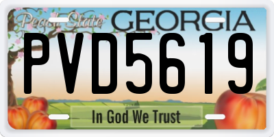 GA license plate PVD5619