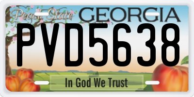 GA license plate PVD5638