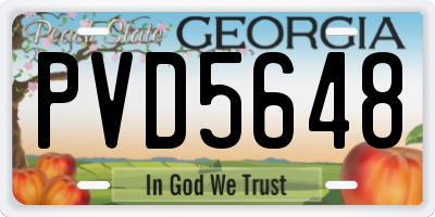 GA license plate PVD5648
