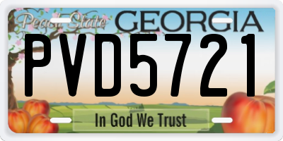 GA license plate PVD5721