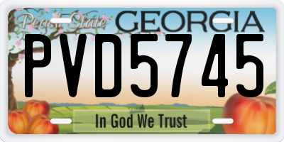 GA license plate PVD5745