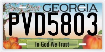 GA license plate PVD5803