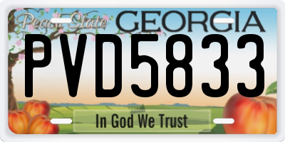 GA license plate PVD5833