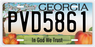 GA license plate PVD5861