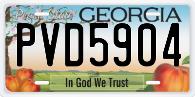 GA license plate PVD5904