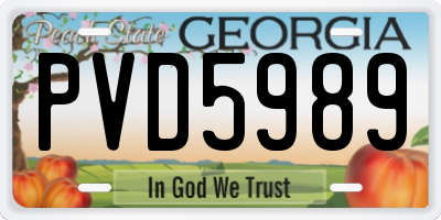 GA license plate PVD5989