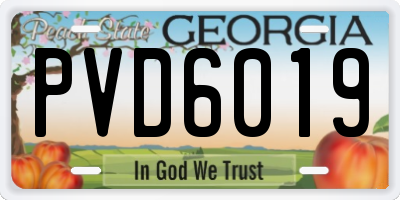 GA license plate PVD6019