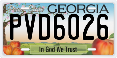 GA license plate PVD6026