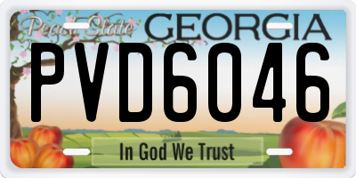 GA license plate PVD6046