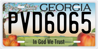 GA license plate PVD6065