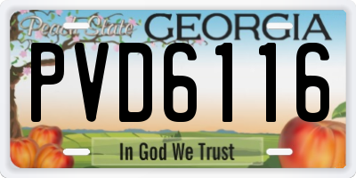 GA license plate PVD6116
