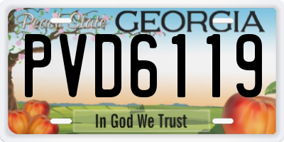 GA license plate PVD6119