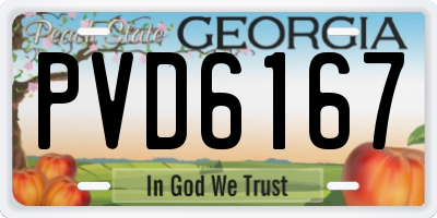 GA license plate PVD6167