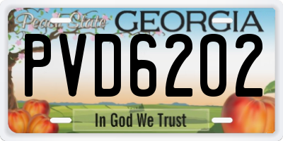 GA license plate PVD6202