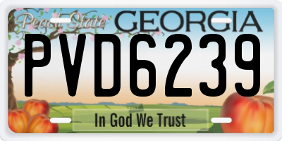 GA license plate PVD6239