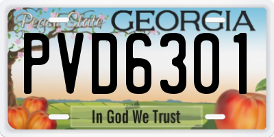 GA license plate PVD6301