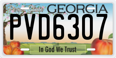 GA license plate PVD6307