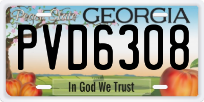 GA license plate PVD6308