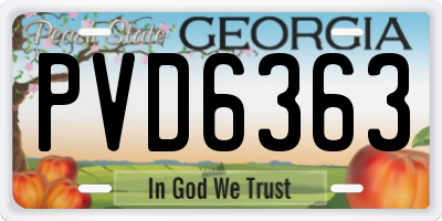 GA license plate PVD6363