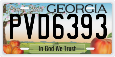 GA license plate PVD6393