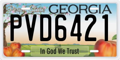 GA license plate PVD6421