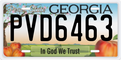 GA license plate PVD6463