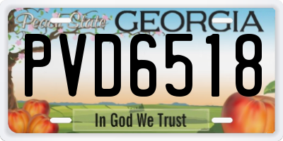 GA license plate PVD6518