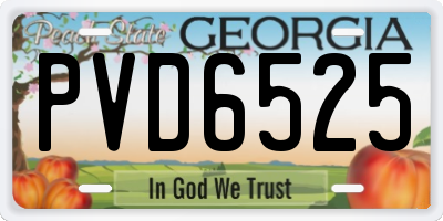 GA license plate PVD6525