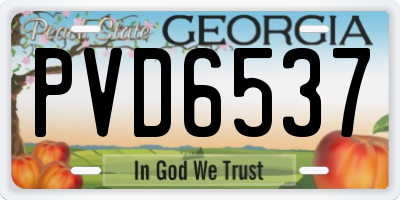 GA license plate PVD6537