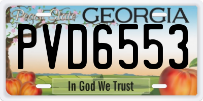 GA license plate PVD6553