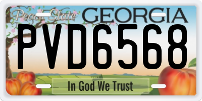 GA license plate PVD6568