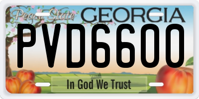 GA license plate PVD6600