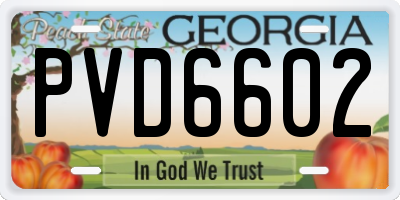 GA license plate PVD6602
