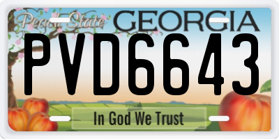 GA license plate PVD6643