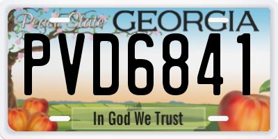 GA license plate PVD6841