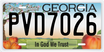 GA license plate PVD7026