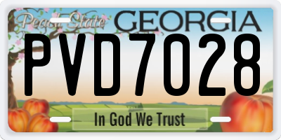 GA license plate PVD7028