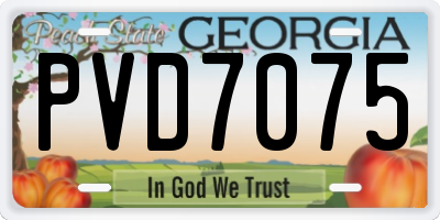 GA license plate PVD7075