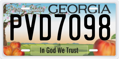 GA license plate PVD7098