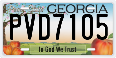 GA license plate PVD7105