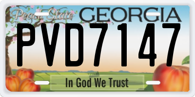 GA license plate PVD7147