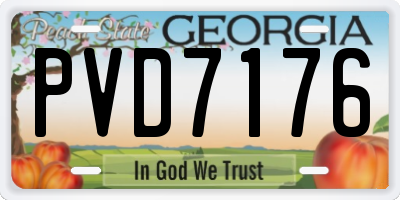 GA license plate PVD7176