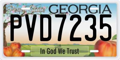 GA license plate PVD7235