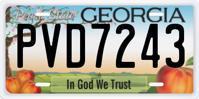 GA license plate PVD7243