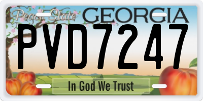 GA license plate PVD7247