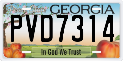 GA license plate PVD7314
