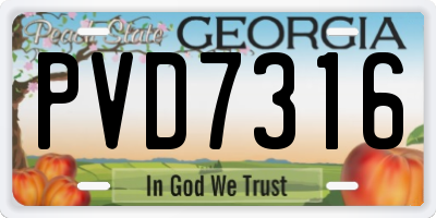GA license plate PVD7316