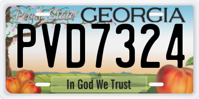 GA license plate PVD7324